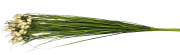 KWIATY SZTUCZNE - BUKIET TRAWA SNOPEK 67CM
