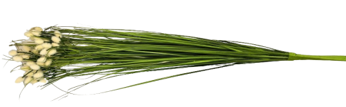 KWIATY SZTUCZNE - BUKIET TRAWA SNOPEK 67CM