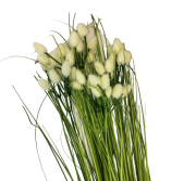 KWIATY SZTUCZNE - BUKIET TRAWA SNOPEK 67CM