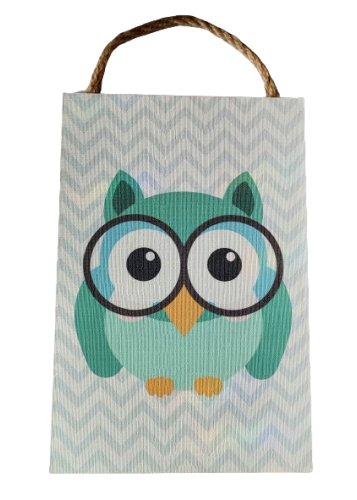 TABLICZKA MOTYWACYJNA MDF 20X30CM SOWA W OKULARACH