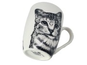 KUBEK PORCELANOWY KOT AMERYKAŃSKI