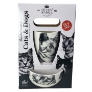 86e2767dd18f49311c26f988eb9769da