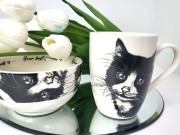 51fd4b750d76094cc2f2735113ffa3b4