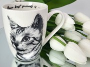 c595bca8e051018cee960e46d8539fca