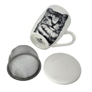 1a0957ff6f29039bc8526819edbdaee4