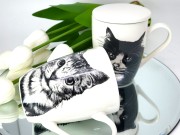 66aa15c58cee9506982e5975ea9885e6