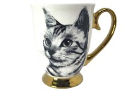 33504ba0a0859712d41c06f1d0a2c44d