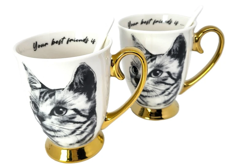 6b8002856d806d46418756c3e5d68bb9