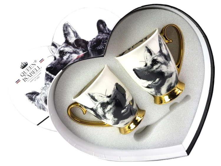 5a2ac1acb50b83401c1e9147258013af