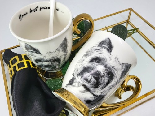 c4b577ff23a662630a4c61136e2a1efe