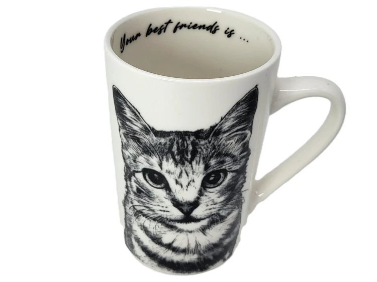 KUBEK PORCELANOWY KOT AMERYKAŃSKI