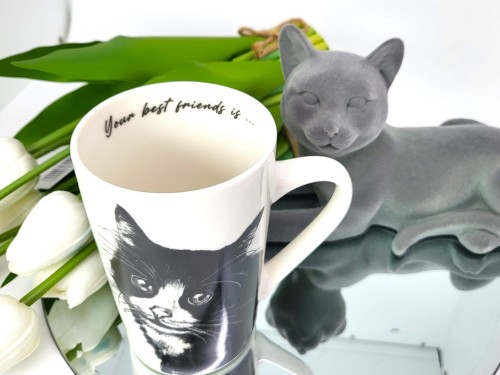 KUBEK PORCELANOWY KOT EUROPEJSKI