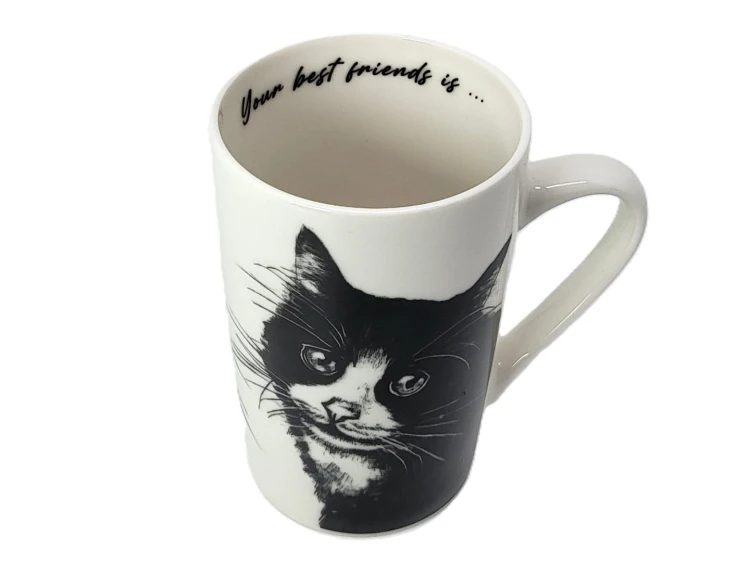 KUBEK PORCELANOWY KOT EUROPEJSKI