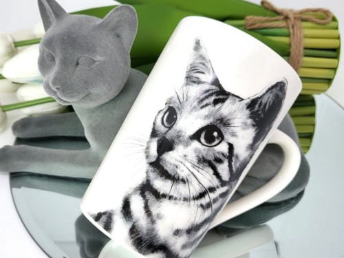 af660c477fd18705559e24e6d46935f5