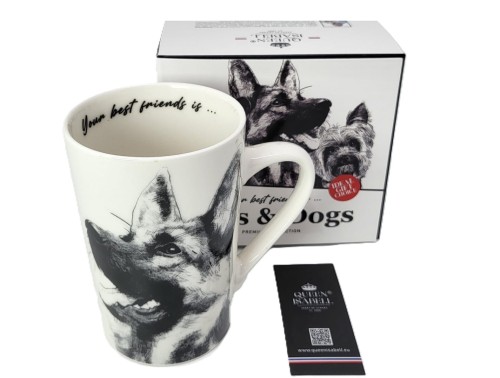 5704c4e0eb533c5a5377f656b54175a6