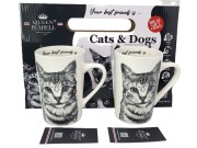 5e0dc814018bd9c8c52f1f94d21e1769