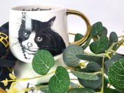 KUBEK PORCELANOWY KOT EUROPEJSKI