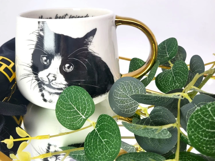 KUBEK PORCELANOWY KOT EUROPEJSKI