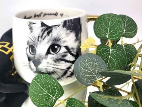 7c358e8afeb274708045139bf9a7fbc1