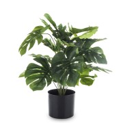 ROŚLINA DEKORACYJNA MONSTERA 55CM