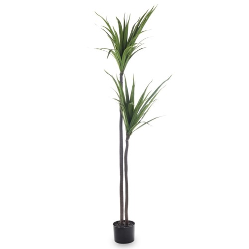 ROŚLINA DEKORACYJNA JUKA DRACENA 160CM