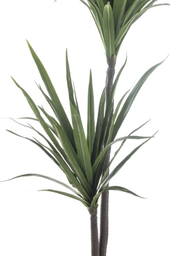 ROŚLINA DEKORACYJNA JUKA DRACENA 160CM