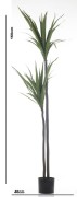 ROŚLINA DEKORACYJNA JUKA DRACENA 160CM