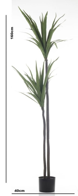 ROŚLINA DEKORACYJNA JUKA DRACENA 160CM