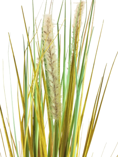 5a066fb09f4642bb3ef855e1cc1b926b