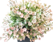 9b672d8a2968f2c39b60b36845888101