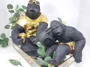 fdb9454c4a32421186eaca24954de33f