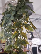 4f56f9b57223c3442d8cf13516e1992b