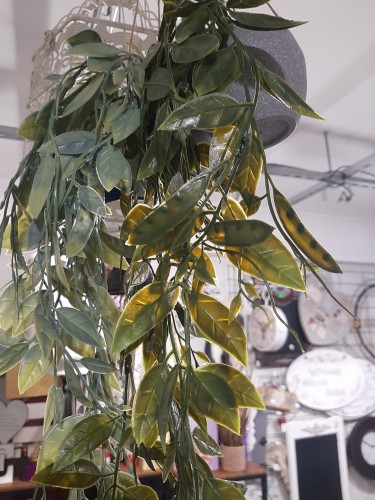 4f56f9b57223c3442d8cf13516e1992b