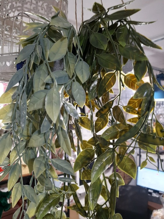 af5f49cdd288efd497938e1b6568024f