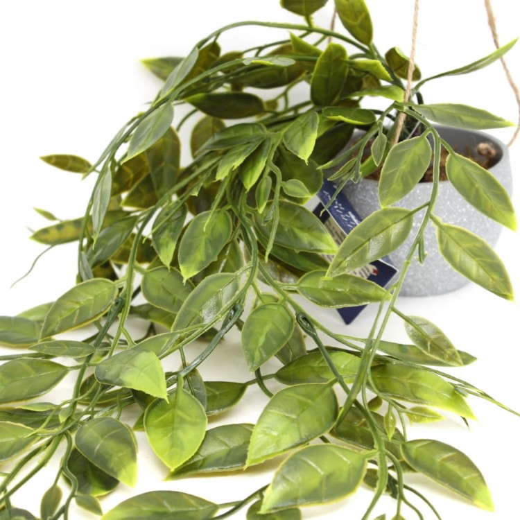 069924d1fecfcd22955a2de2d3b76baa