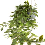 4bb4276610244434a0d198e09e4b6946