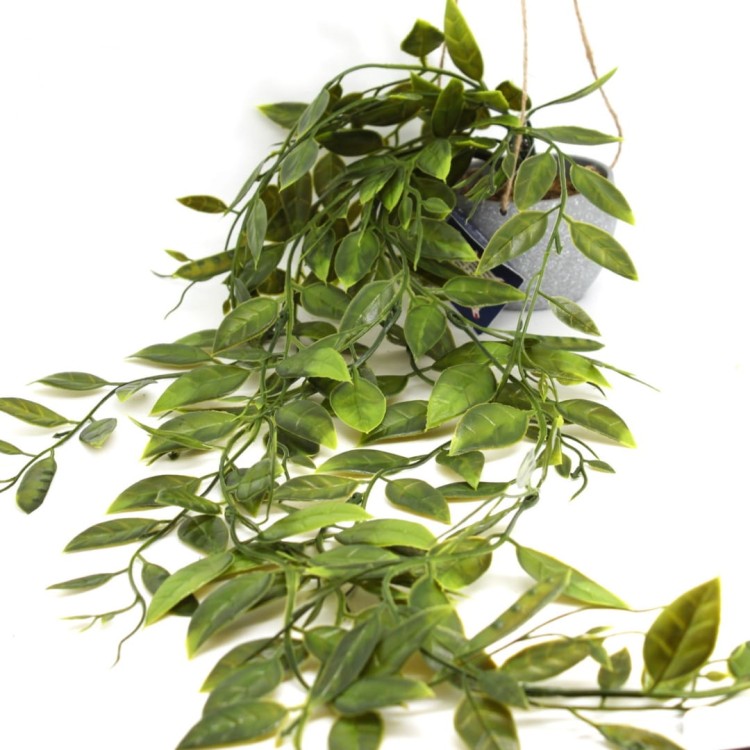 4bb4276610244434a0d198e09e4b6946