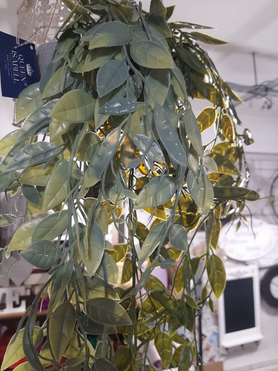 829dcdfdd6aebc94fd7b734182dd226a