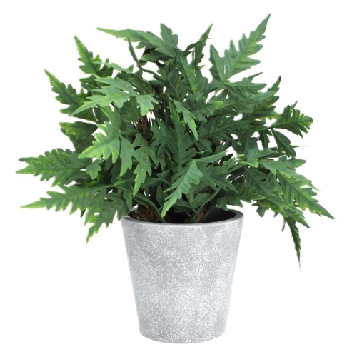 c36fa148fafd07bedbe103d791e3ef8a