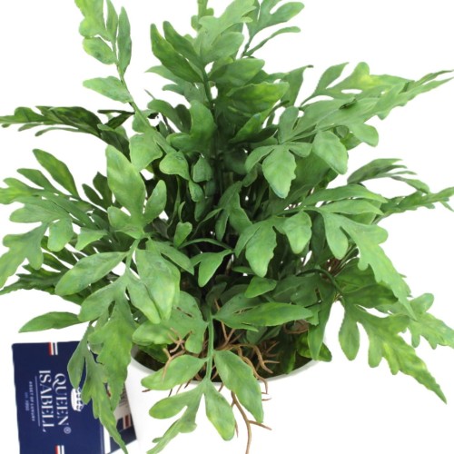 70dac689c5106538cc35be1a7108b5a9