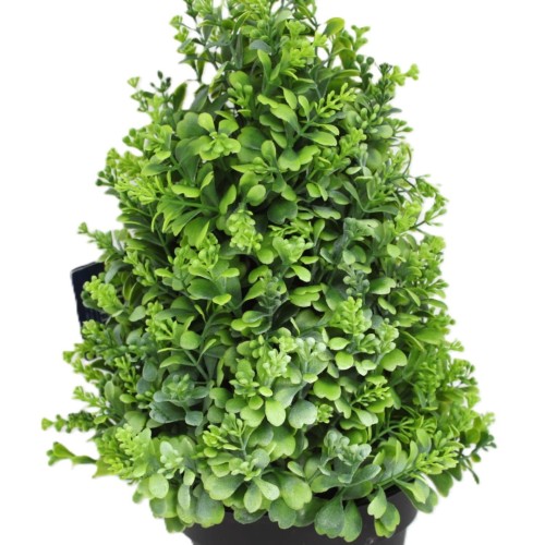 2cbaaca1fe194170f7dc904ce153f33a