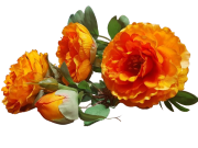 40c1273b29fe4fdacda21d107b87b77d