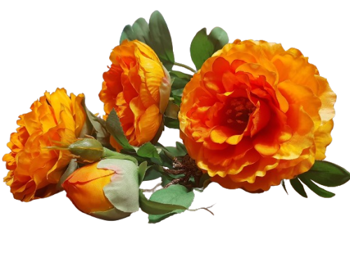 40c1273b29fe4fdacda21d107b87b77d