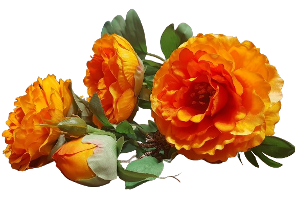 40c1273b29fe4fdacda21d107b87b77d