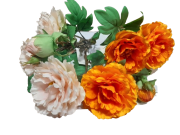 d9be241bb848d758643b8f972374520d