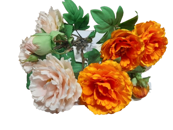 d9be241bb848d758643b8f972374520d