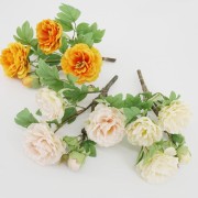 6970708ef2fd0d43b936585ae9a76967