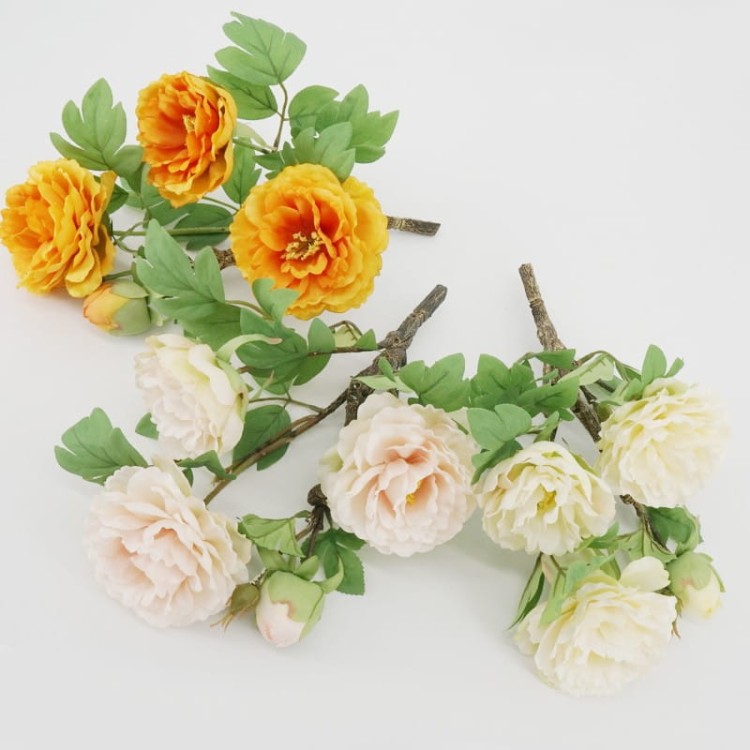 6970708ef2fd0d43b936585ae9a76967