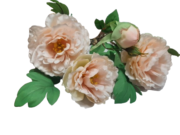 879763897d6e1ce8a4e0e33e7abaf18d