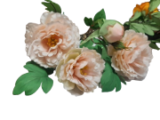 0e6c27333553aaef9602218473c54d0c